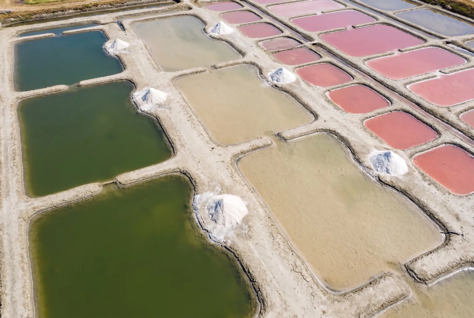Saline de Kervalet — Hand-worked salt marsh — three weeks of seawater becomes salt, Kervalet, Guérande